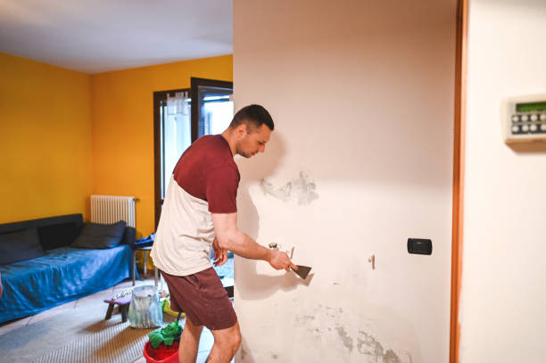 Best Emergency Mold Removal  in Shinglehouse, PA